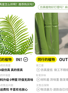 仿真绿植凤尾葵仿生散尾葵假树