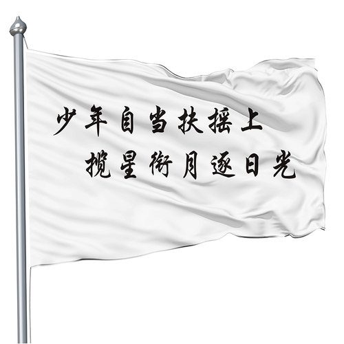 班旗定制空白旗白色旗DIY手印手工旗帜定做彩旗旗子户外旗百日誓师队旗中考高考运动会班旗设计校运会白旗 - 图1