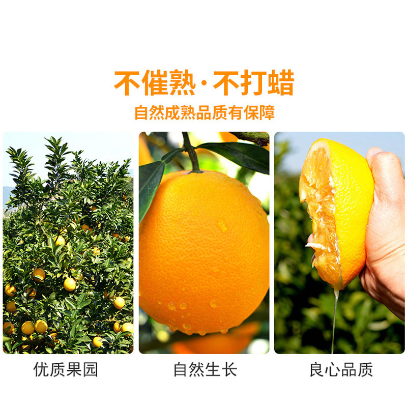 【芭芭农场】江西赣南脐橙10斤大果橙子新鲜水果当季甜橙整箱包邮多图2