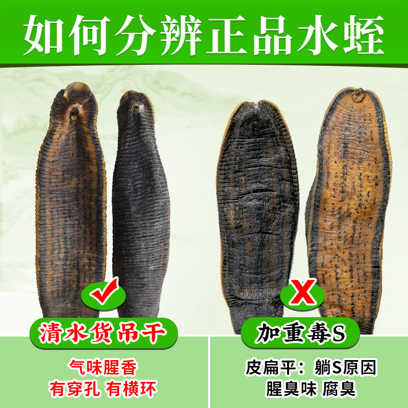 水蛭干蚂蝗干正品非生菲牛蛭中药材非水蛭素胶囊非冻干粉代客打粉 - 图0