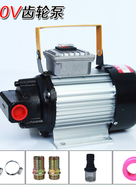 自吸加油泵电动抽油泵齿轮油泵12V24V220V机油液压油齿轮油抽油机