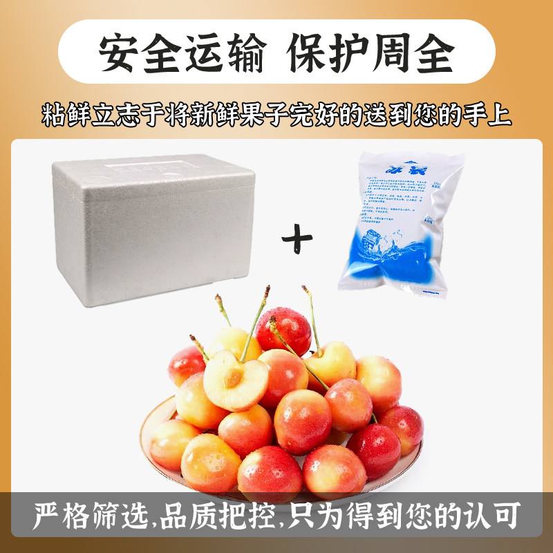  粘鲜车厘子/樱桃