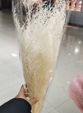 情人草永生花情人草干花花束家用插花情人草昆明直发