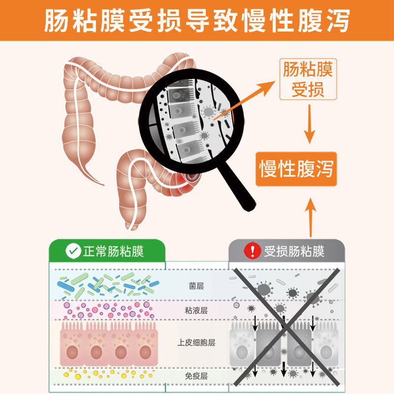 新乐 固本益肠片100片中成药健脾温肾涩肠止泻慢性肠炎肠易激