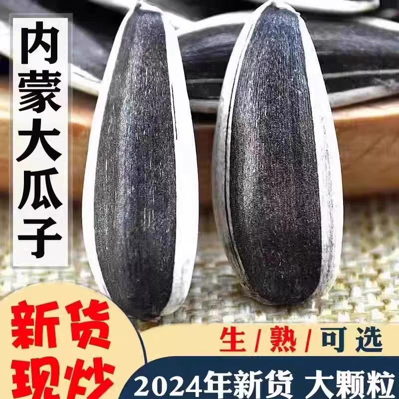 2024内蒙古363薄皮甑选大颗粒原味新货现炒熟袋装零食批发好瓜子