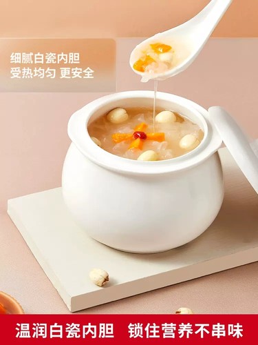 九阳电炖锅燕窝炖盅隔水炖家用全自动煲汤锅电砂锅辅食陶瓷煮粥锅 - 图1