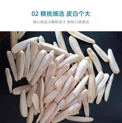 新疆特产原味马牙瓜子牙签白纯天然无添加袋装500g零食坚果不上火 - 图1