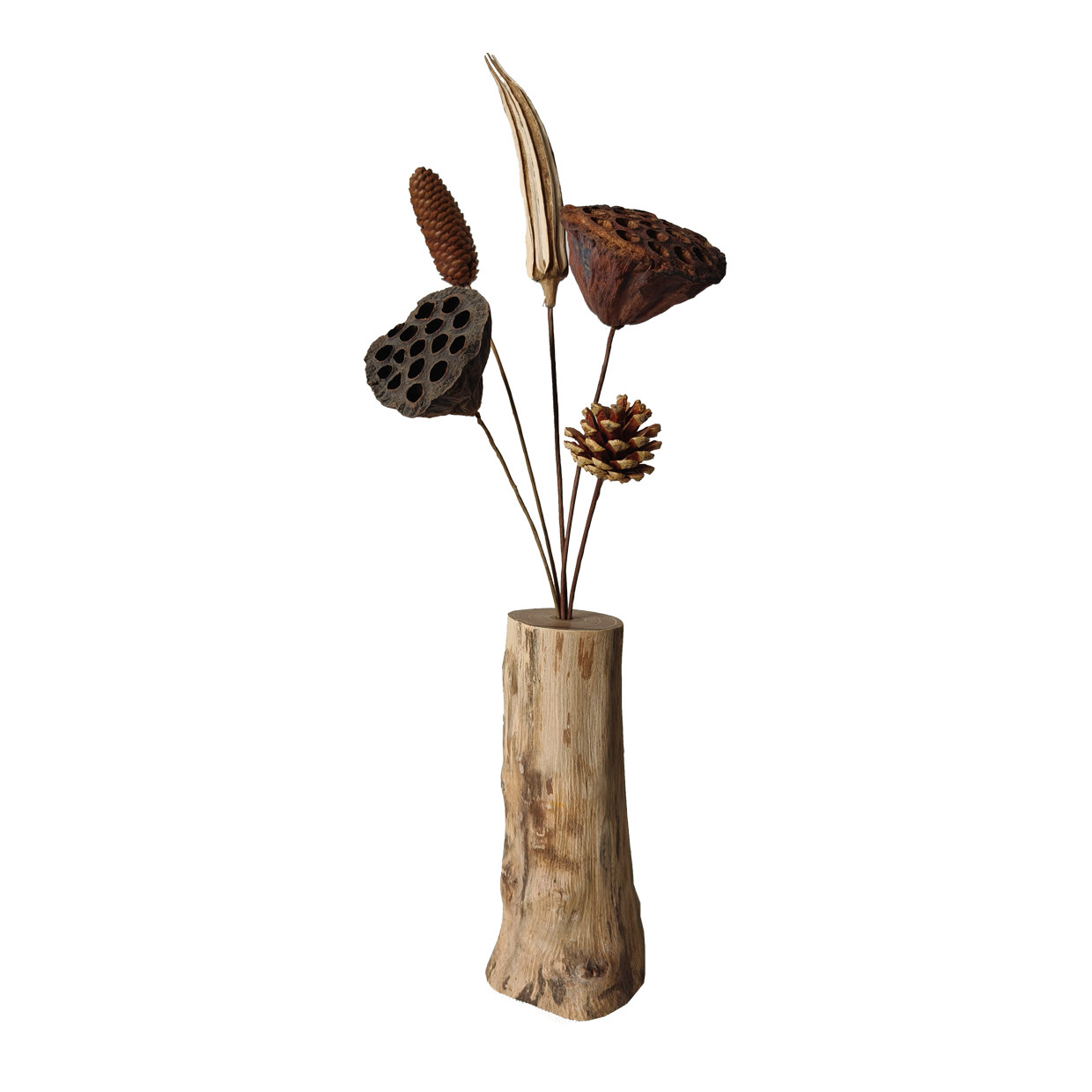 复古自然枯木实木禅意干花真花莲蓬干花荷花风干装饰中式摆件客厅,淘宝优惠券,粉丝福利购,淘宝优惠卷