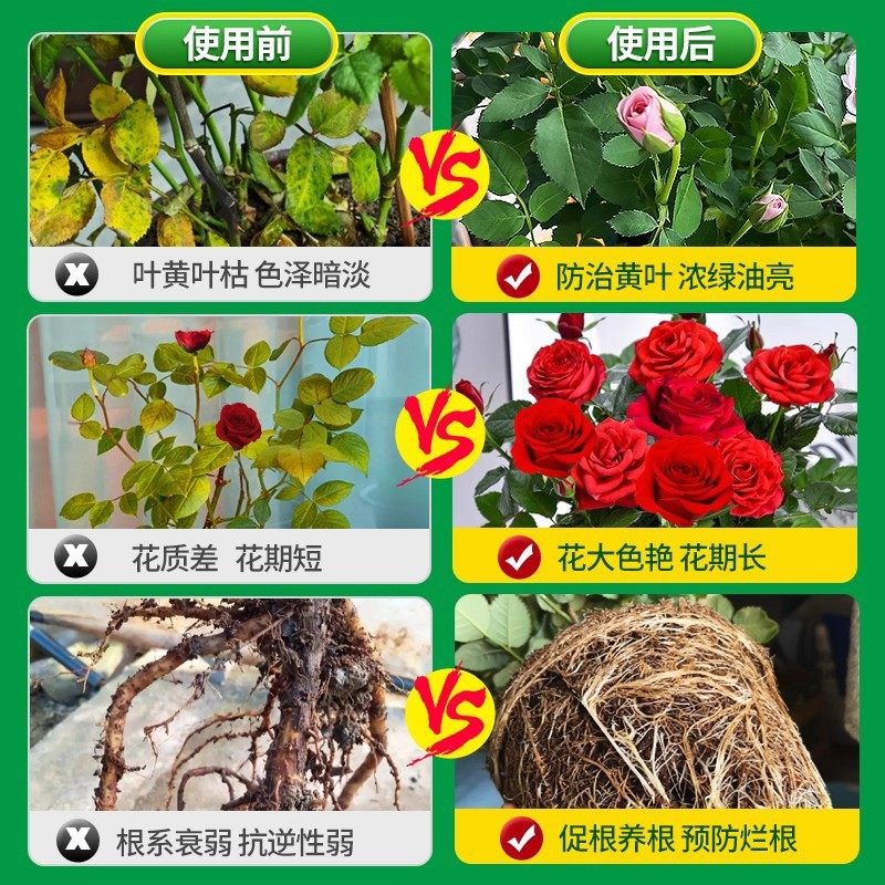 营养液室内盆栽植物营养液通用型玫瑰月季发财树果树碗莲水培植物,淘宝优惠券,粉丝福利购,淘宝优惠卷