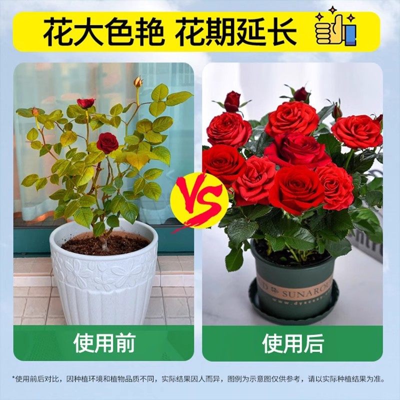 营养液室内盆栽植物营养液通用型玫瑰月季发财树果树碗莲水培植物,淘宝优惠券,粉丝福利购,淘宝优惠卷