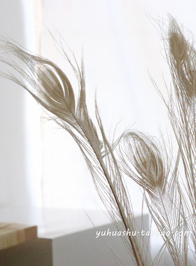 ins风米白色孔雀毛羽毛家居饰品圣诞装饰摆设软装设计店铺陈列