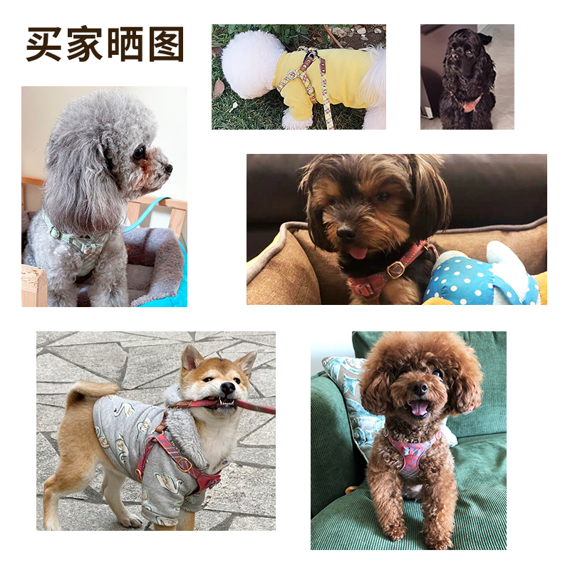 Puppytie狗狗牵引绳小型犬狗绳子遛狗绳背心式泰迪柯基宠物胸背带 - 图1