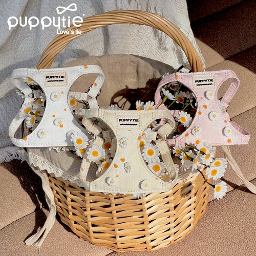 puppytie狗狗牵引绳遛狗绳可爱外出小型犬泰迪胸背带宠物用品狗链 - 图0