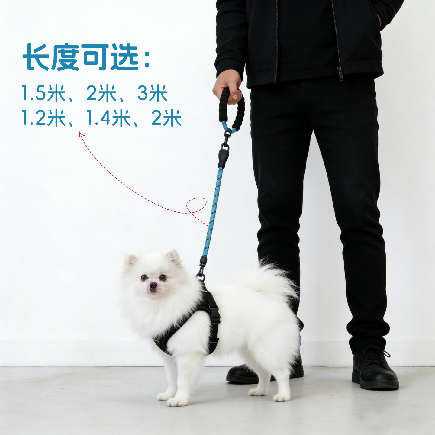 2米3米加长狗狗牵引绳狗绳子遛狗泰迪金毛宠物大型中型小型犬狗链,淘宝优惠券,粉丝福利购,淘宝优惠卷