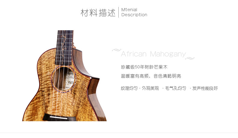 白熊音乐enya恩雅手工全单小吉他 白熊乐器尤克里里/小吉他