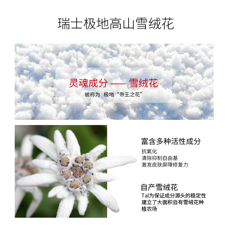 瑞士进口tal蒂爱丽美白补水足膜 tal海外足膜