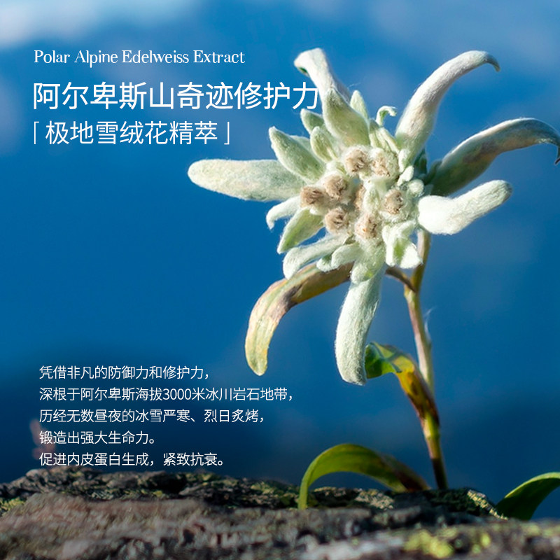 瑞士tal细嫩双手细纹护手膜女手膜 tal海外手膜