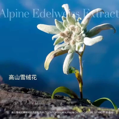 Маска для рук, масло для ног, осветляющий увлажняющий отбеливающий лечебный комплект для ступней, Швейцария, против морщин