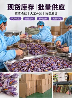 藏红花花苞干花 西红花整朵花苞花茶原料 礼盒套装支持