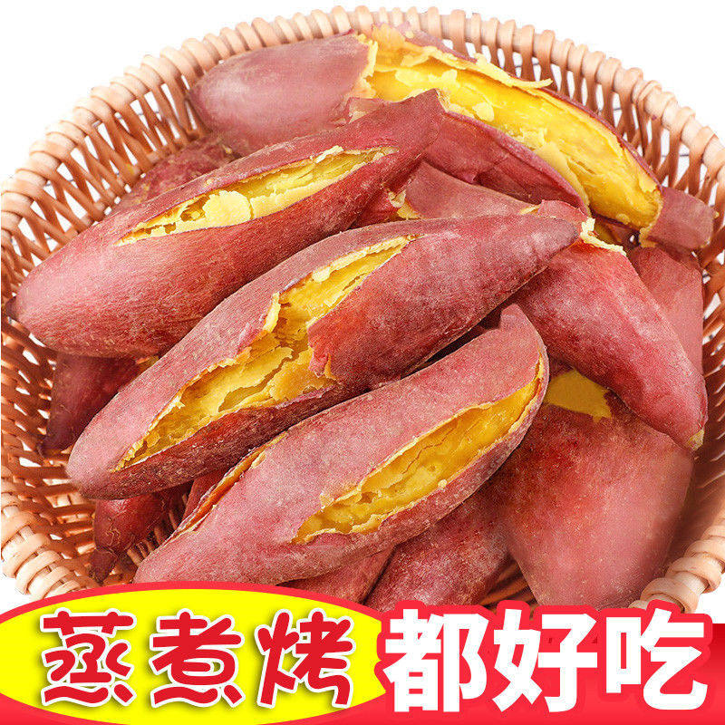 新鲜蜜薯10斤糖心农家自种板栗红薯 鲜蔡家番薯
