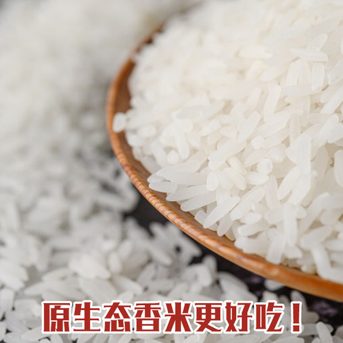 鑫紫荆粤北小油粘正宗广东油粘米长粒香大米煲仔饭丝苗米软糯新米 - 图2