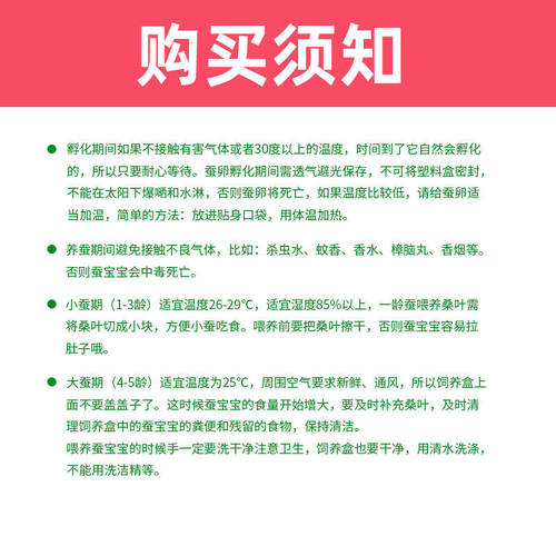 蚕宝宝卵学生蚕籽蚕卵蚕蛋天然彩蚕子桑蚕种春蚕养殖活物春蚕卵-图0