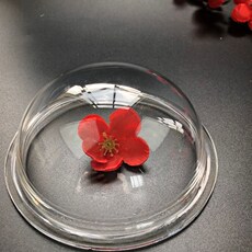 Акриловые / Perspex 新制亚克力半球罩有机玻璃罩子z防尘罩半圆形透明灯罩半圆球展示