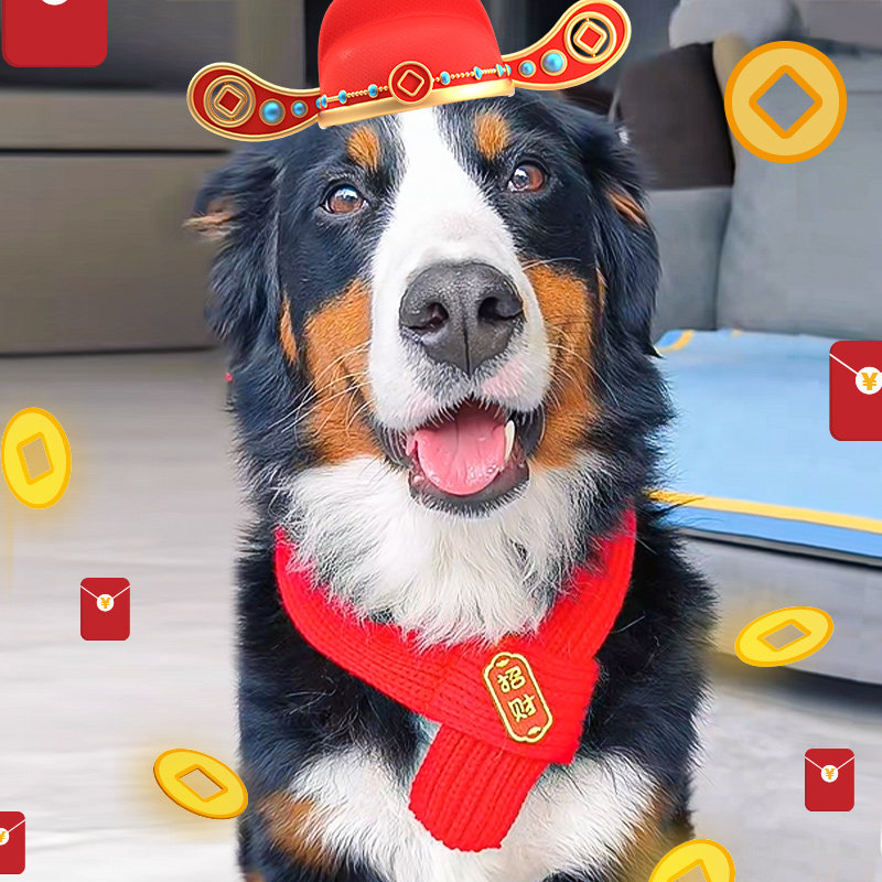 过年喜庆宠物围巾猫咪狗狗红色针织围脖中国红装饰毛线新年围脖,淘宝优惠券,粉丝福利购,淘宝优惠卷