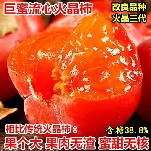 特大正宗柿子果树苗火晶软柿子超甜大果无核盆栽地栽南方北方种植 - 图0