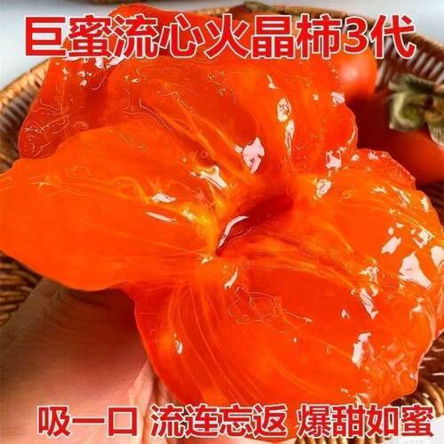 特大正宗柿子果树苗火晶软柿子超甜大果无核盆栽地栽南方北方种植 - 图1