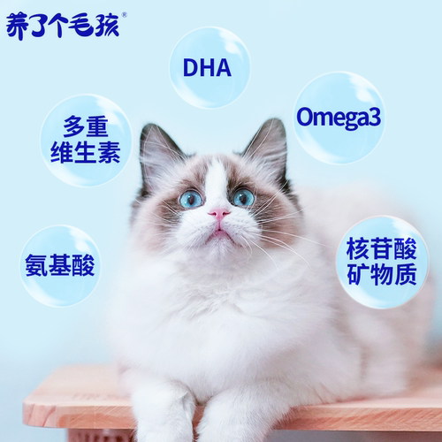 养了个毛孩猫条零食增肥啵啵猫条幼猫咪主食猫条营养补水成猫湿粮 - 图3