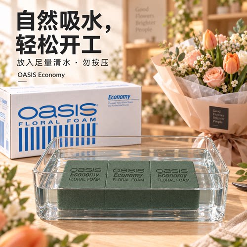 奥赛斯花泥oasis经济型花泥20块装插花湿花泥鲜花泥插花DIY花艺师 - 图0