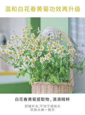 CaiCI 采词洋甘菊补水喷雾舒缓保湿爽肤水定妆清爽型保湿控油男女