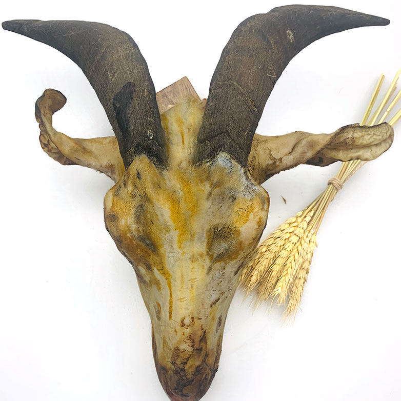 农家散养带皮黑山羊肉新鲜包邮羊头整只羊脑袋羊脸纯肉羊舌羊眼,淘宝优惠券,粉丝福利购,淘宝优惠卷