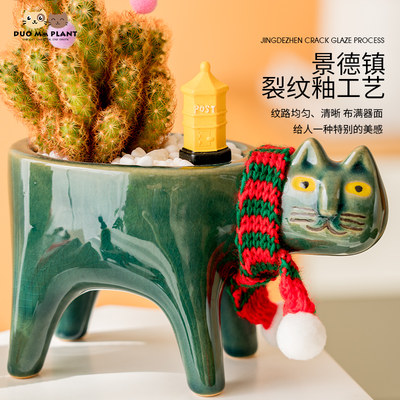 仙人掌可爱猫咪尾巴多肉植物盆栽室内办公室开花仙人球猴尾柱盆景 虎窝淘