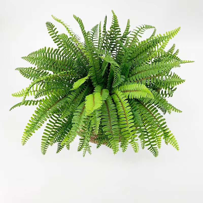 高仿真蕨类波斯绿植肾蕨热带雨林软装植物造景背景墙插花装饰花艺,淘宝优惠券,粉丝福利购,淘宝优惠卷