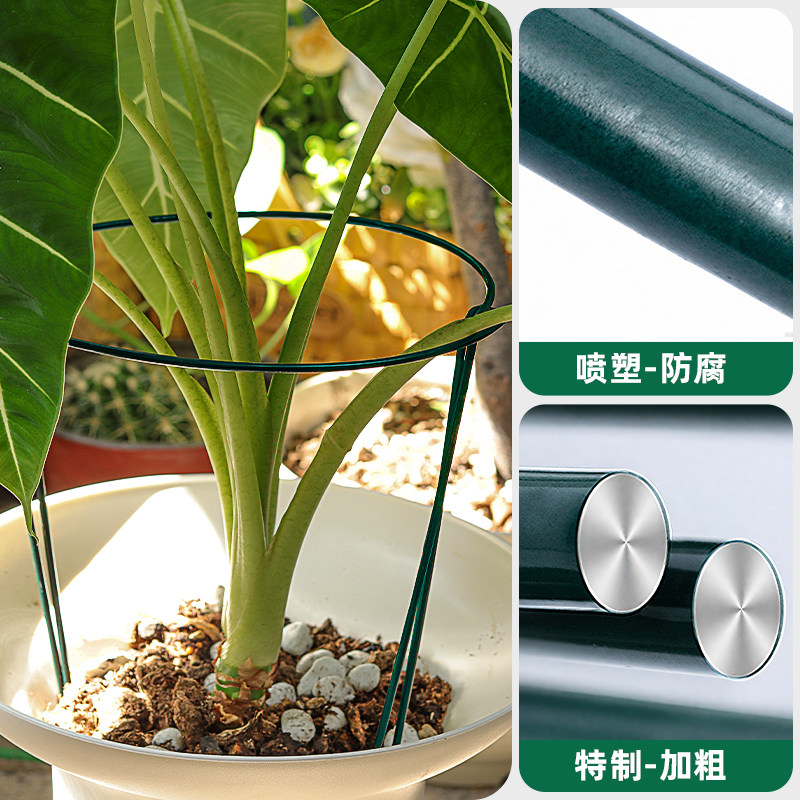 花支撑架植物支撑杆阳台花架花卉龟背竹防倒伏虎皮兰护花架绿萝月,淘宝优惠券,粉丝福利购,淘宝优惠卷