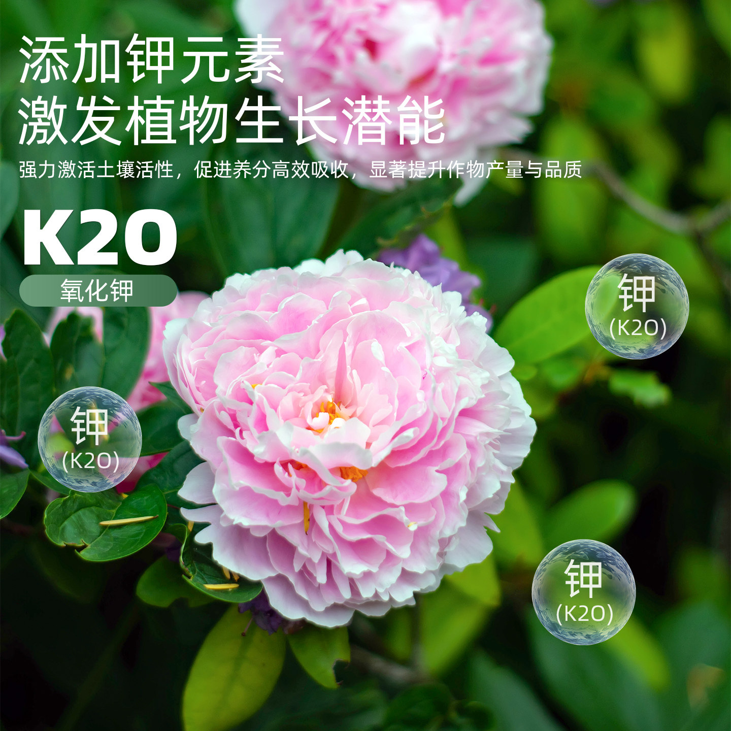 土壤活化剂松土剂改善土壤板结疏松剂矿源黄腐酸钾黑水肥料松土精,淘宝优惠券,粉丝福利购,淘宝优惠卷