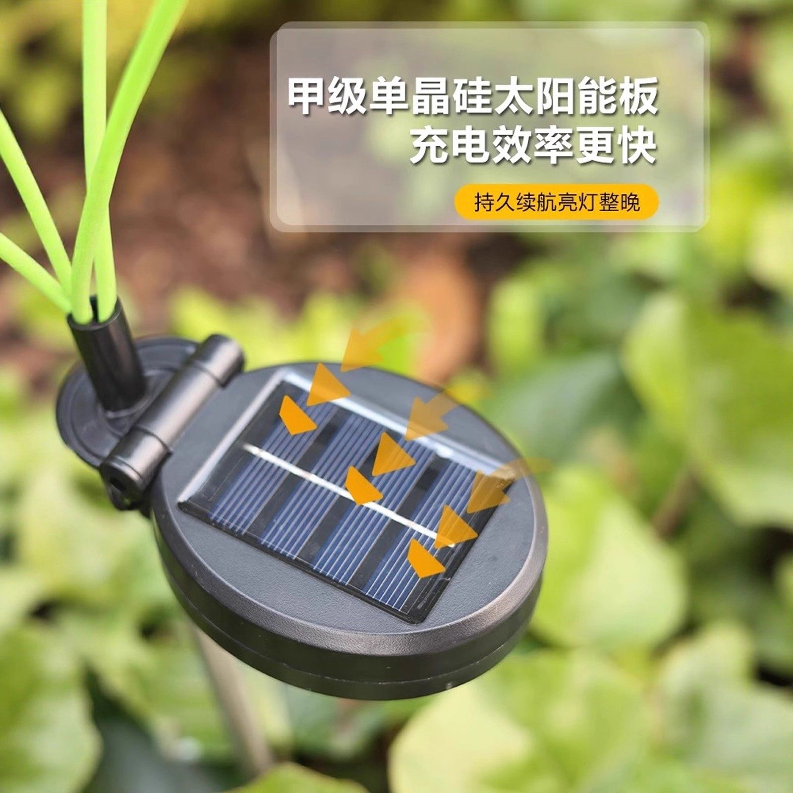 太阳能户外庭院蒲公英灯花园布置氛围灯防水地插草坪灯造景景观灯,淘宝优惠券,粉丝福利购,淘宝优惠卷