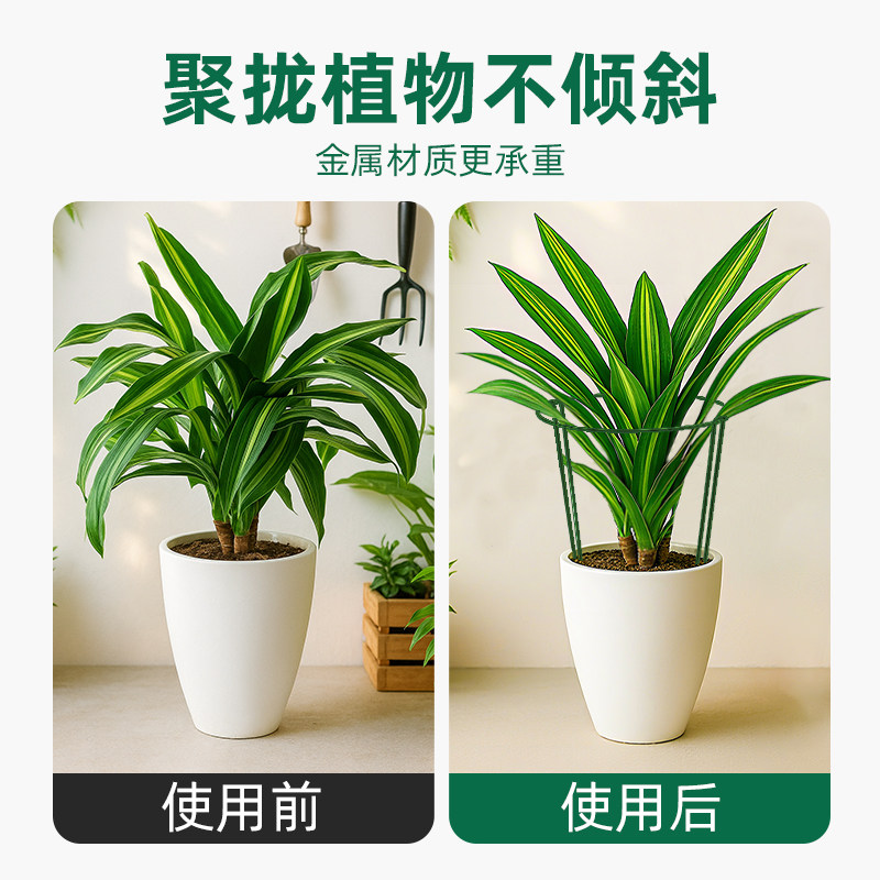 花支撑架植物支撑杆阳台花架花卉龟背竹防倒伏虎皮兰护花架绿萝月,淘宝优惠券,粉丝福利购,淘宝优惠卷
