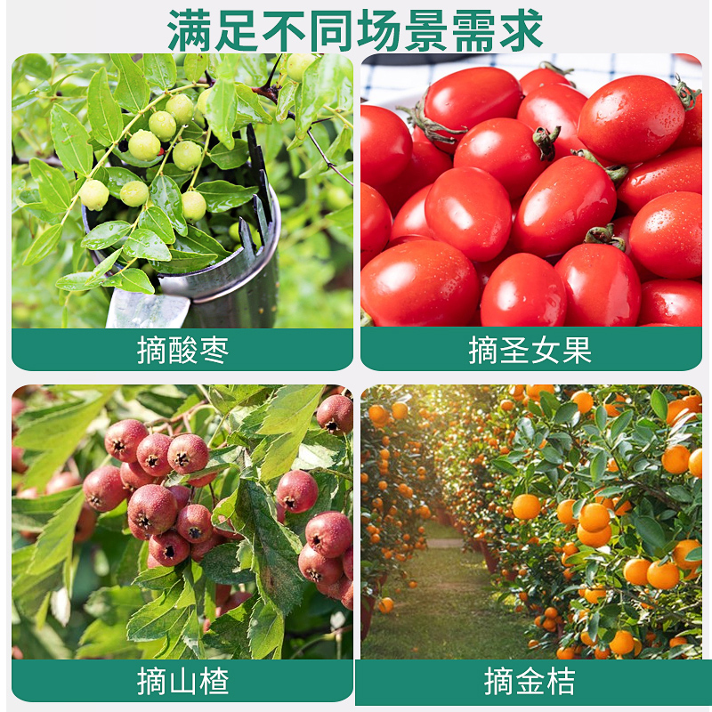 摘酸枣专用神器新款摘山枣器加厚不锈钢杨梅枇杷野果采摘专用工具 - 图2