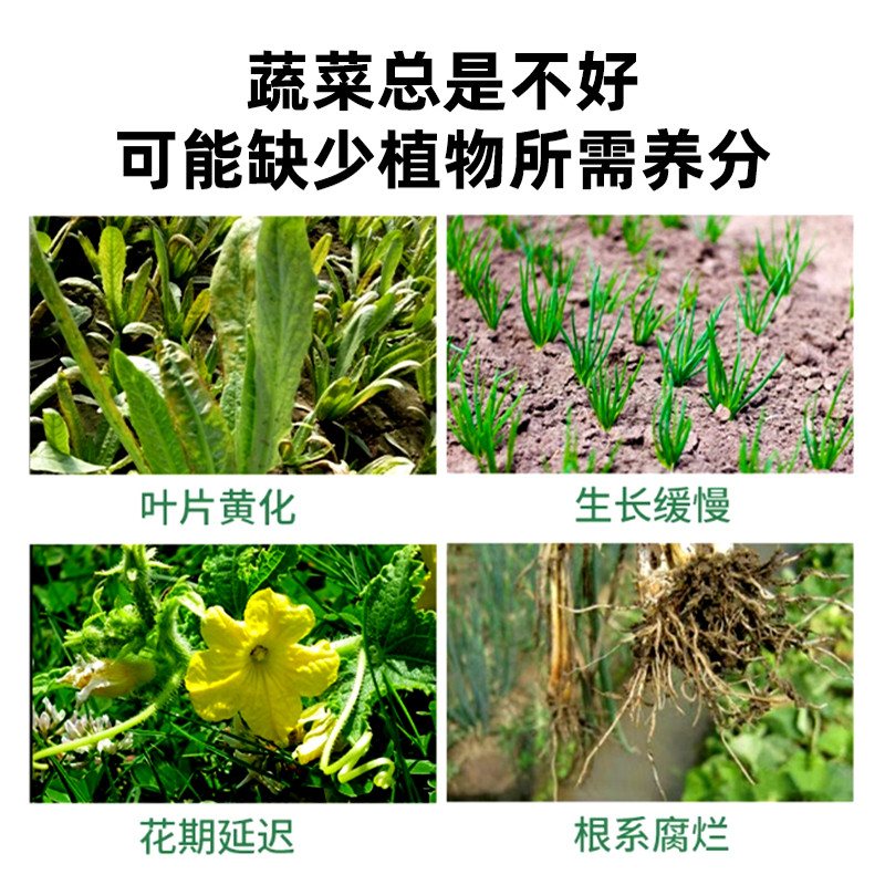 蔬菜专用肥料有机肥农用种菜复合肥家用盆栽通用型水溶颗粒缓释肥,淘宝优惠券,粉丝福利购,淘宝优惠卷