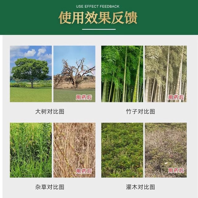 Cyclazine is specially used to remove weeds and rotten roots of large bamboo trees to clear up wasteland.