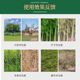 Cyclazine is specially used to remove weeds and rotten roots of large bamboo trees to clear up wasteland.