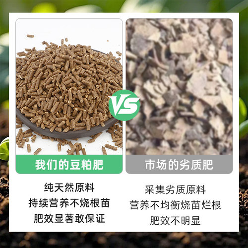 CPAI发酵豆粕有机肥料颗粒植物盆栽花肥料大豆发酵颗粒肥蔬菜菌肥 - 图1