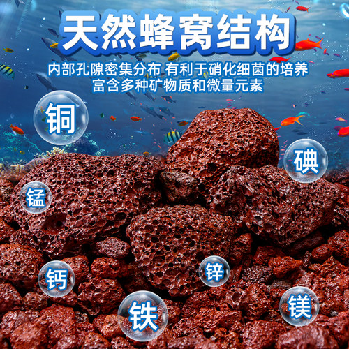 火山石鱼缸专用天然颗粒底部砂石造景专用火山岩古法养鱼材料过滤 - 图0