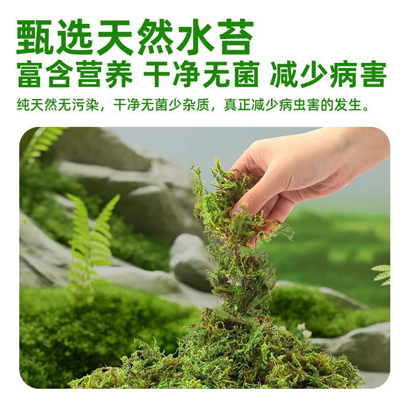 干苔藓蝴蝶兰专用水苔爬宠乌龟冬眠垫材种植营养土乌龟窝造景青苔,淘宝优惠券,粉丝福利购,淘宝优惠卷