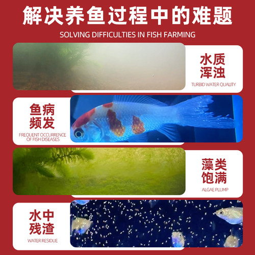 火山石鱼缸专用天然颗粒底部砂石造景专用火山岩古法养鱼材料过滤 - 图2