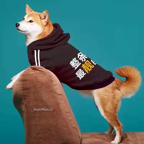 Одежда домашних собак Осень и зимний свитер плюс тонкий бархат Большой, маленький, маленький, маленький, маленький, маленький, маленький, маленький, маленький, маленький, маленький и маленький