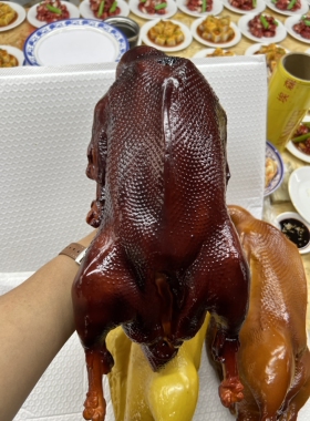 广东烧鹅模型烤鸭烤鹅熟食店模型挂件烤鹅模型狮头鹅模型假鸭子